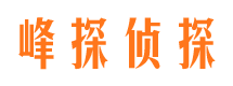 靖安寻人公司